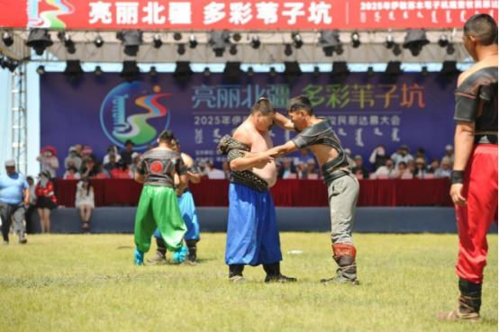 中国文促会主席杨晓阳谈“走遍中国”三省有感