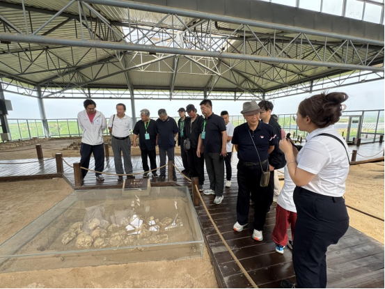 中国文促会主席杨晓阳谈“走遍中国”三省有感